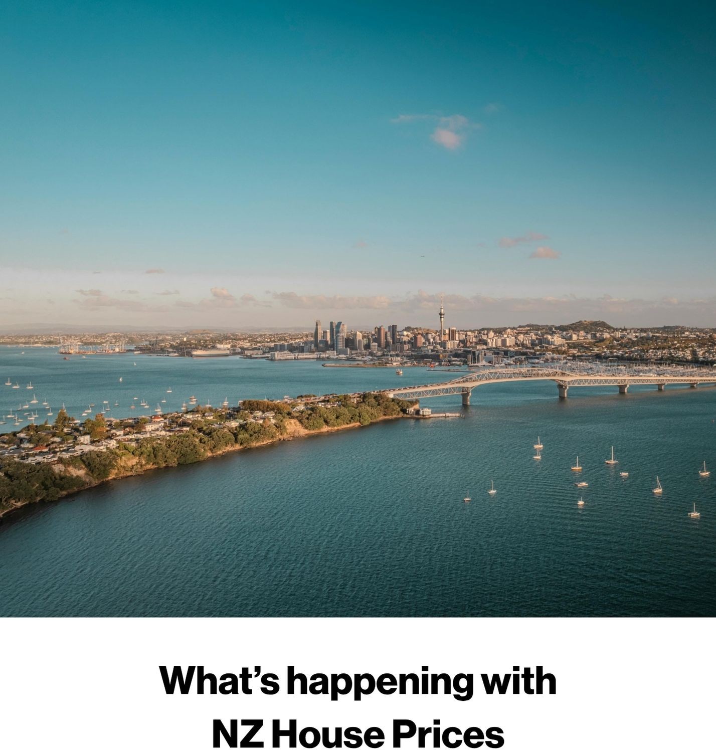Thinking of buying a home?